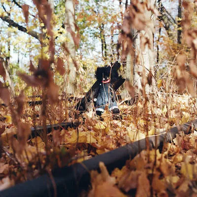 A golliwog (black minstrel doll) resting against a tree branch in the woods, surrounded by fall leaves.